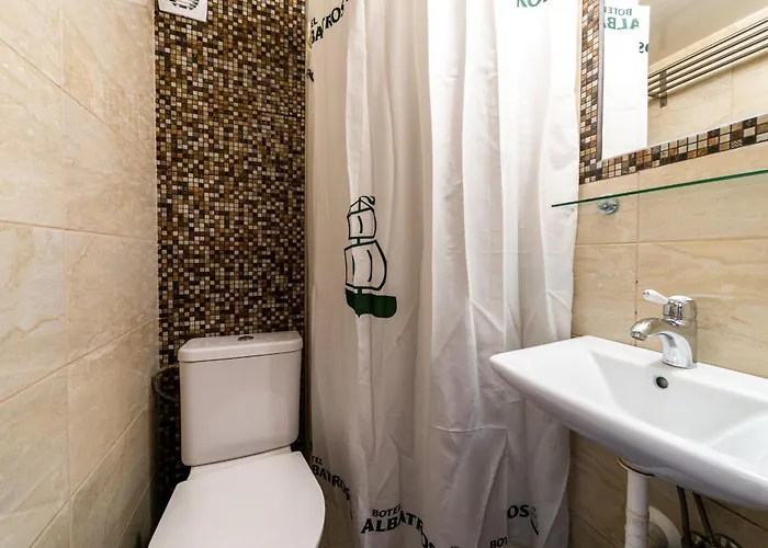 Albatros 船上ホテル 3*